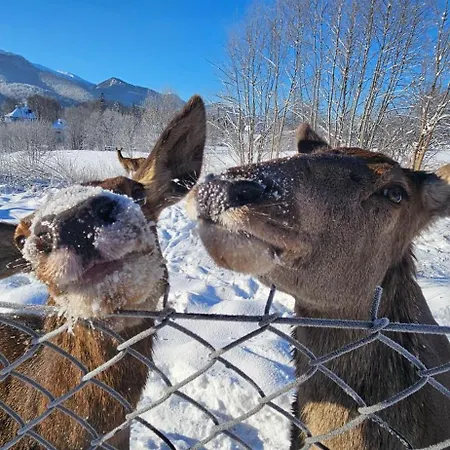 בית נופש Pod Kozincem Sauna Jacuzzi