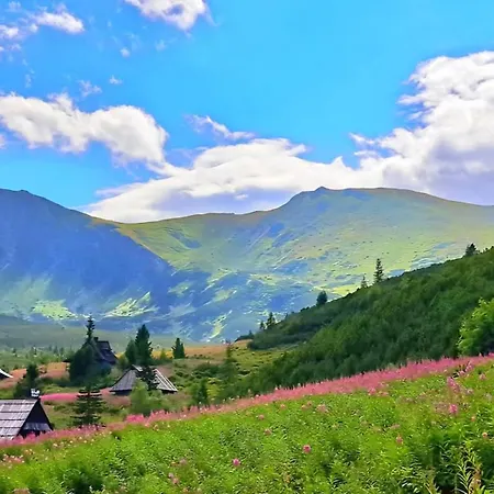 Pod Kozińcem Dom wakacyjny Zakopane