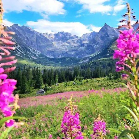 Pod Kozincem Sauna Jacuzzi בית נופש