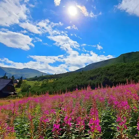 Pod Kozińcem Zakopane