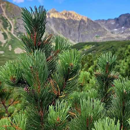 Pod Kozincem Sauna Jacuzzi