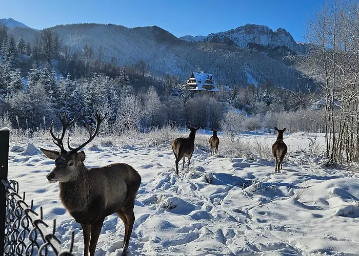 Pod Kozincem Sauna Jacuzzi Сasa de vacaciones