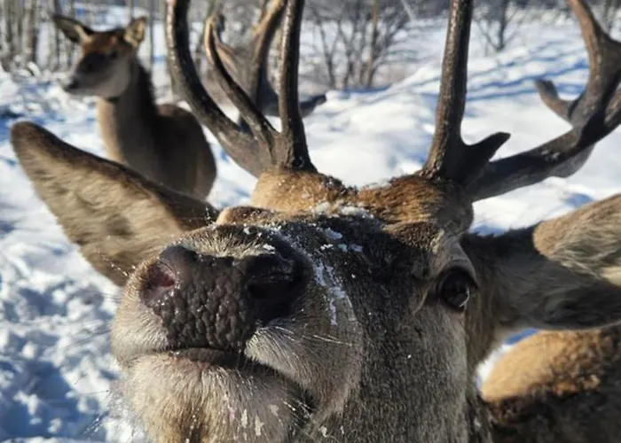 Pod Kozincem Sauna Jacuzzi Сasa de vacaciones *