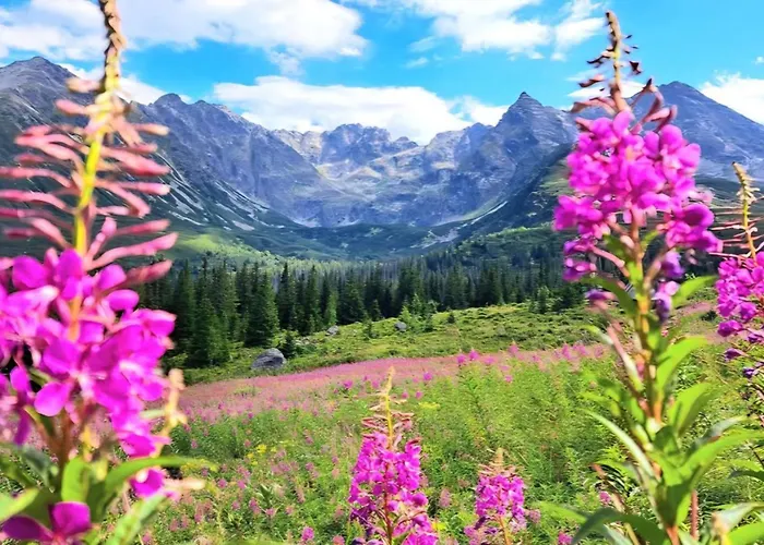 Pod Kozincem Sauna Jacuzzi Сasa de vacaciones