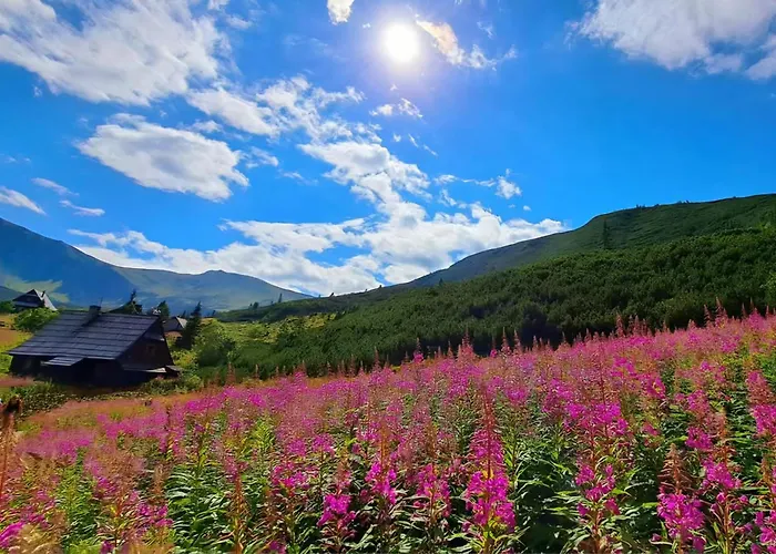 Pod Kozincem Sauna Jacuzzi Zakopane