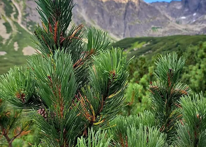 Pod Kozincem Sauna Jacuzzi